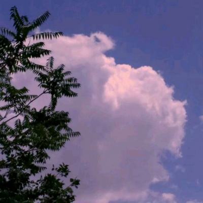 奇迹神魔官方版下载